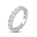 925 Silver Moissanite 3.8mm Eternity Band Ring - IFJMR00006